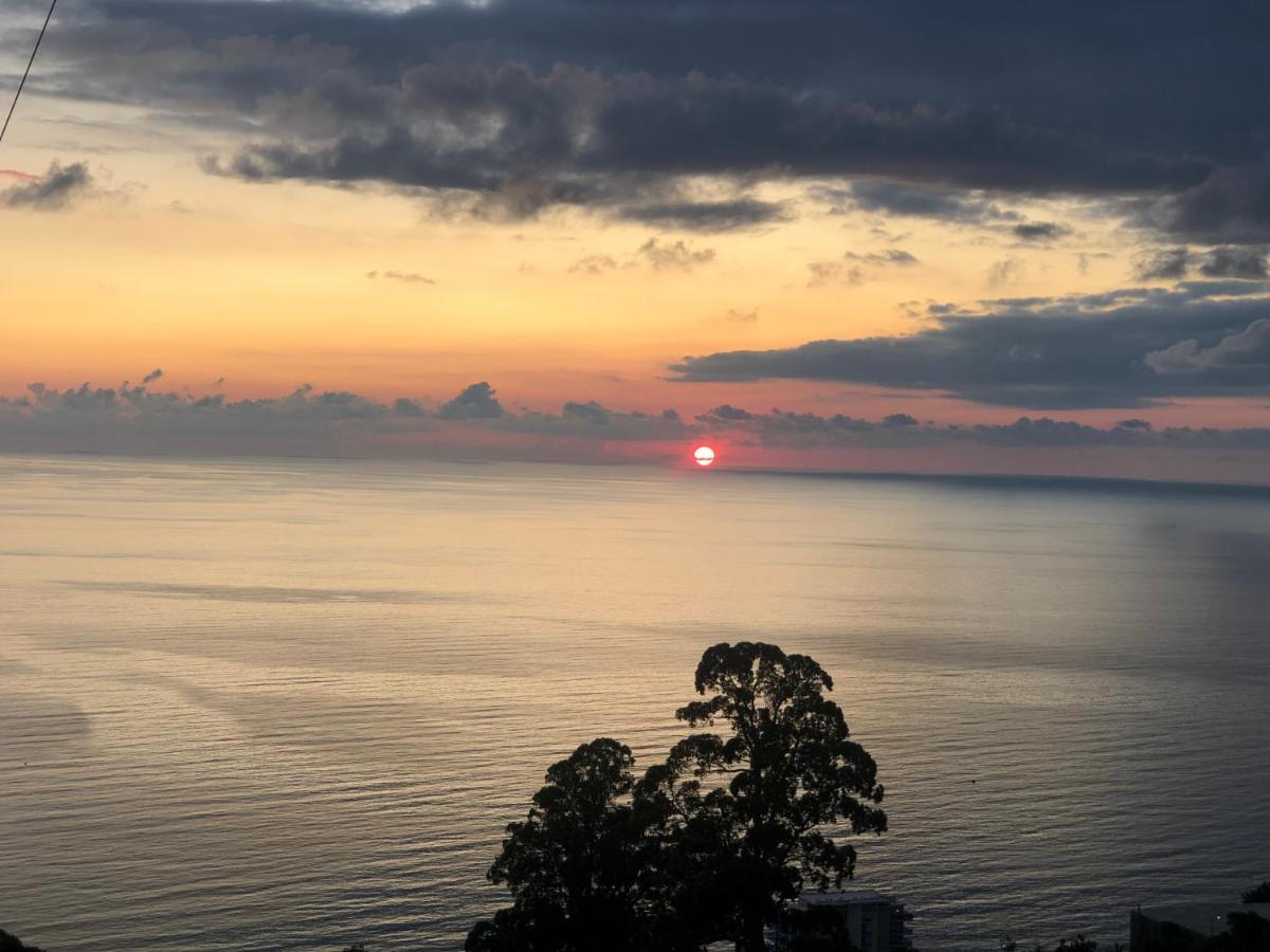 Villa Deluxe Kvariati Εξωτερικό φωτογραφία
